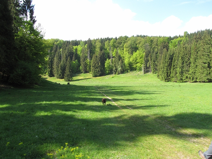 Wanderung 2014_096.jpg